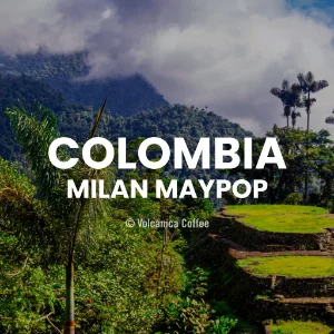 Colombia Milan Maypop coffee