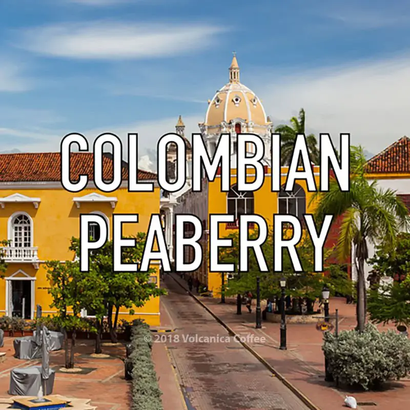 colombian coffee peaberry